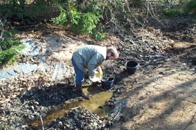 Retten der letzten Teichbewohner