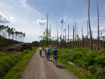 per Fahrrad durch Windbruch bei Mnster (D. Diehl)
