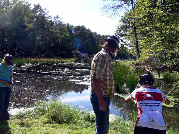 Am Biberstau. D. Diehl