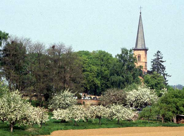 Ev. Kirche Schaafheim. D. Diehl