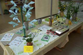 Pr�sentation der Blumendetektive.