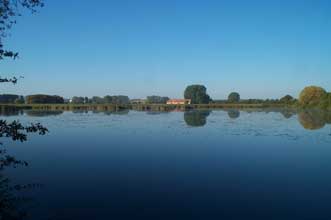 Das NSG Reinheimer Teich.