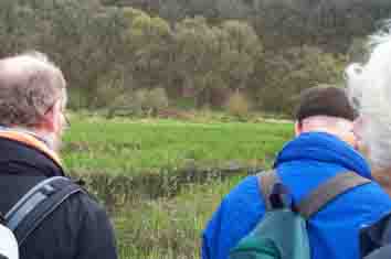 An einem Biber-Lebensraum