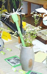 Feinstrahl und das Modell der Sch�ler.