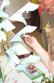 Salbei-Bl�tenmodell und Biene aus Korkstopfen.